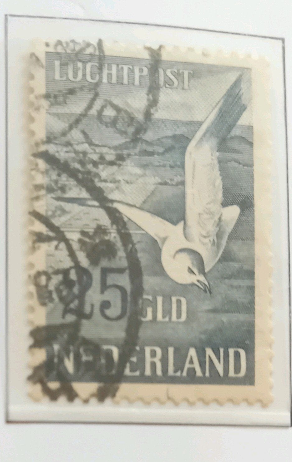 NVPH LP13 Gestempeld, Postzegels en Munten, Postzegels | Nederland, Ophalen of Verzenden