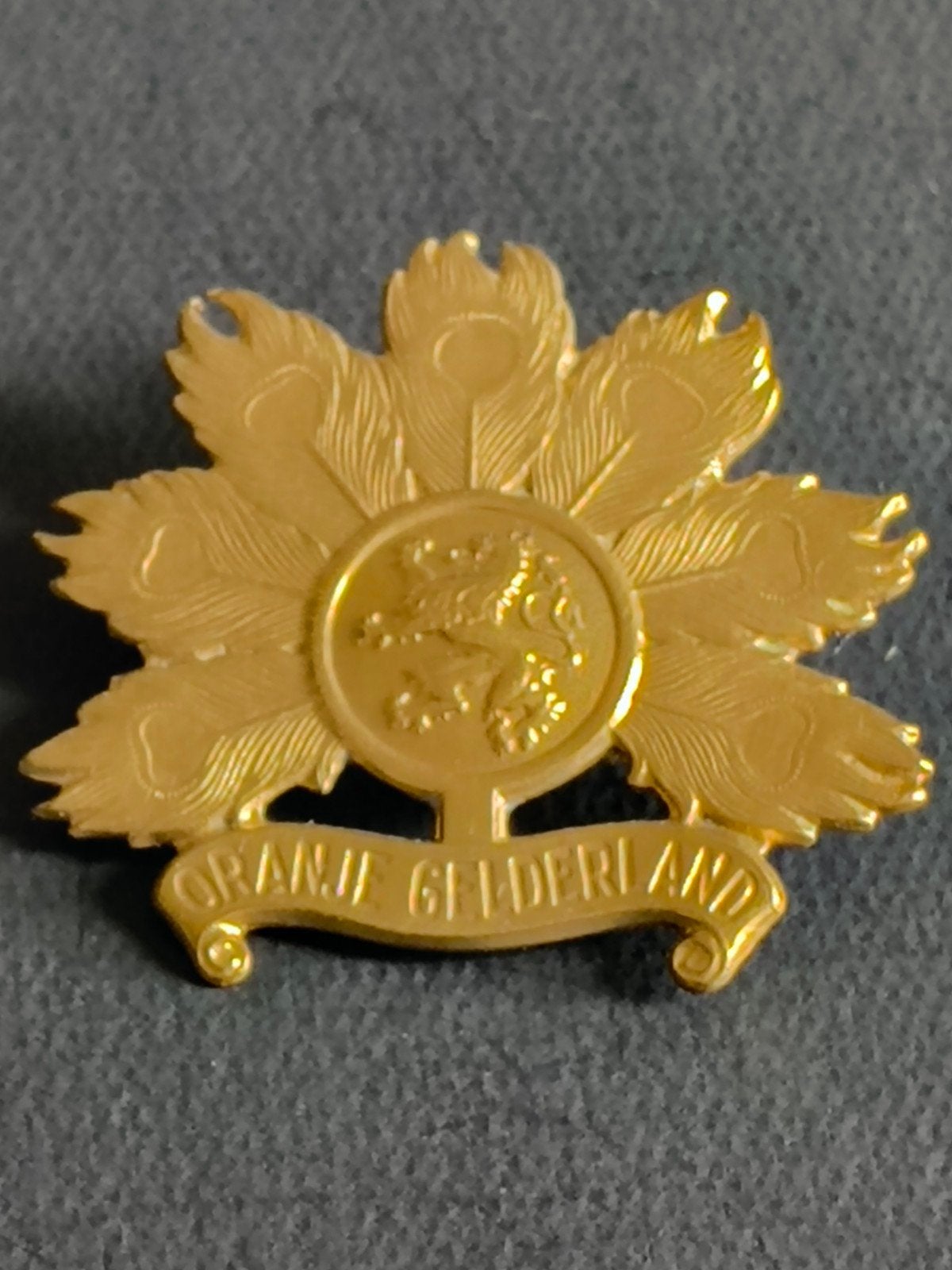 Militair embleem Oranje Gelderland, Verzamelen, Ophalen of Verzenden, Landmacht, Nederland, Embleem of Badge