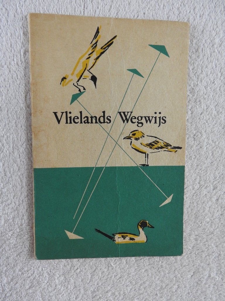 Vlielands wegwijs - Met uitslaande kaart, Boeken, Ophalen of Verzenden, Zo goed als nieuw