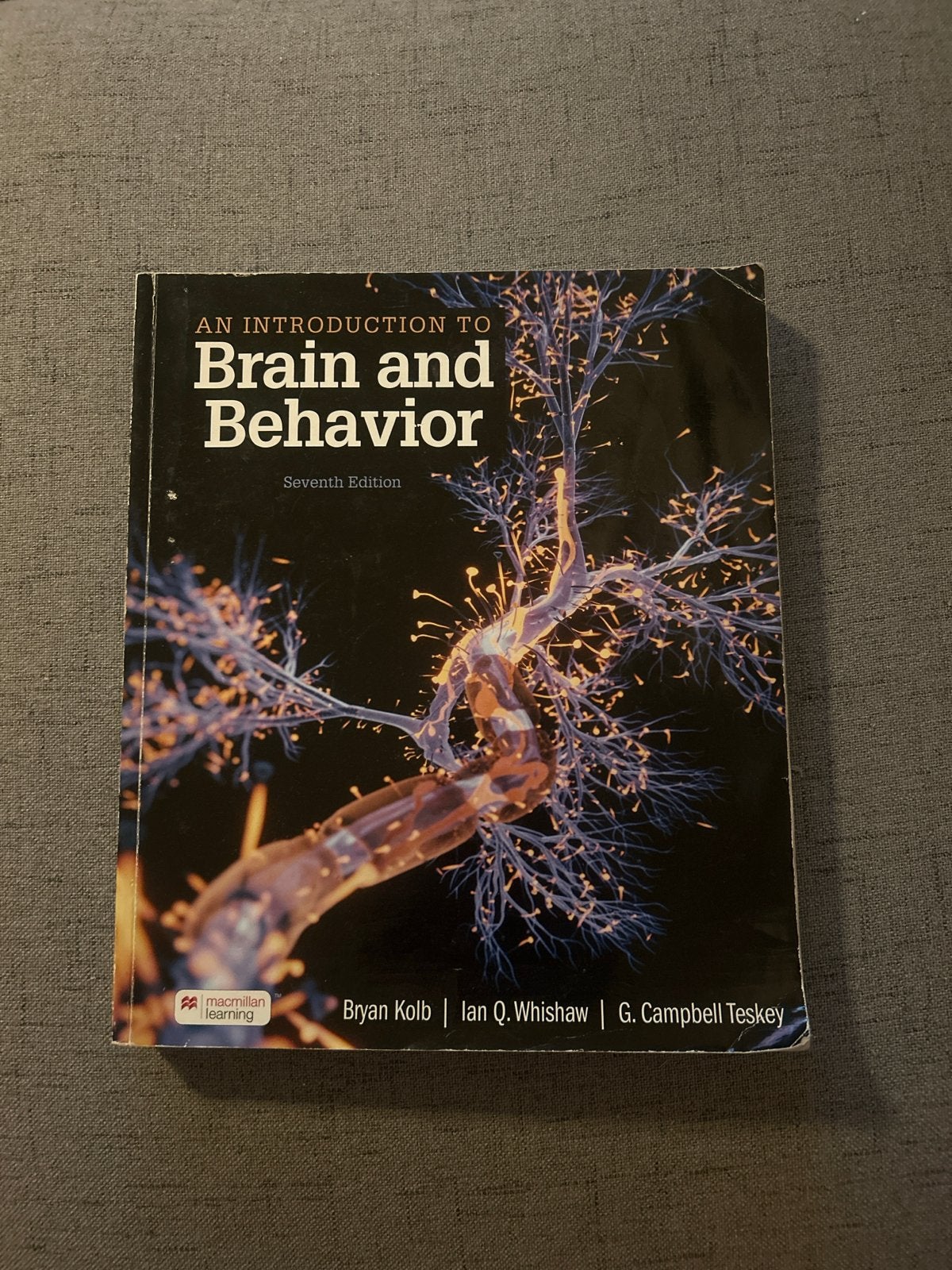 An Introduction to Brain and Behavior - Seventh edition, Boeken, Ophalen of Verzenden, Beta, Gelezen, HBO
