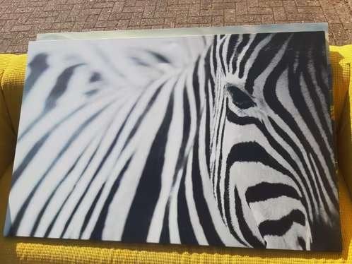 Set van 5 wanddecoraties: Zebra, Rijstvelden, Bloesem, Ophalen, 50 – 75, 75 tot 100 cm, Print