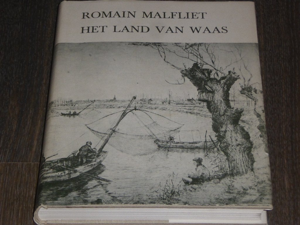 ROMAIN MALFLIET - HET LAND VAN WAAS - WILLEM PERSOON, Verzenden, Zo goed als nieuw, Schilder- en Tekenkunst, WILLEM PERSOON