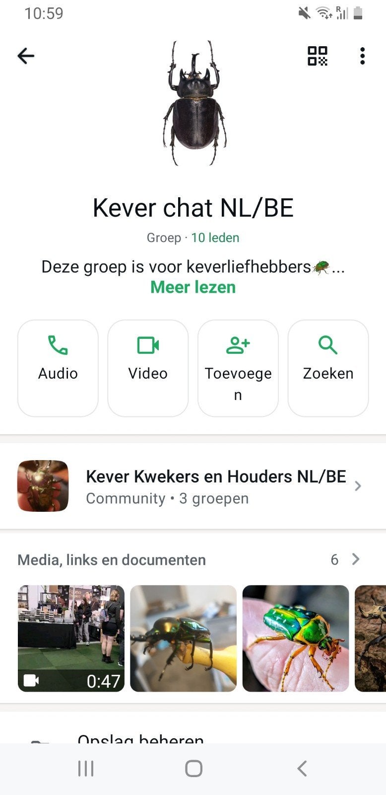 WhatsApp Community: Kever Kwekers & Houders NL/BE, Dieren en Toebehoren, Overige soorten