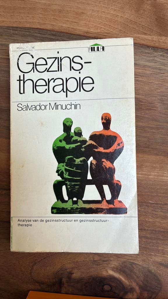 Gezinstherapie Minuchin, Ophalen of Verzenden, Gelezen