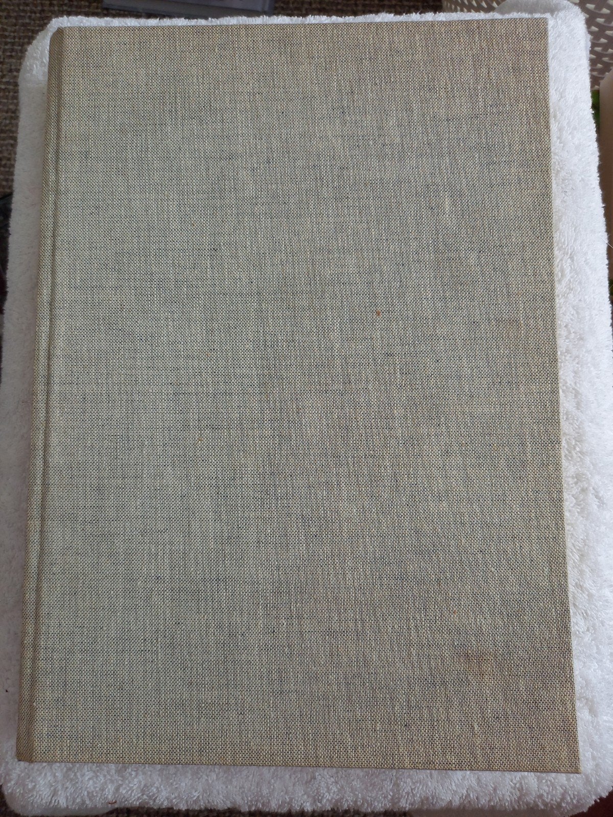 Schilderkunst der Mensheid - 20.000 jaar schilderkunst, Ophalen of Verzenden, Gelezen, Schilder- en Tekenkunst