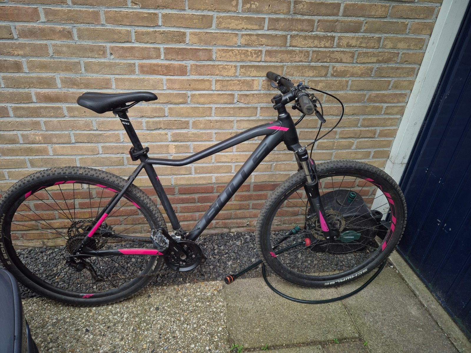 Bulls Vanida mountainbike 29 inch met schijfremmen, Gebruikt, Hardtail, 49 tot 53 cm, Dames