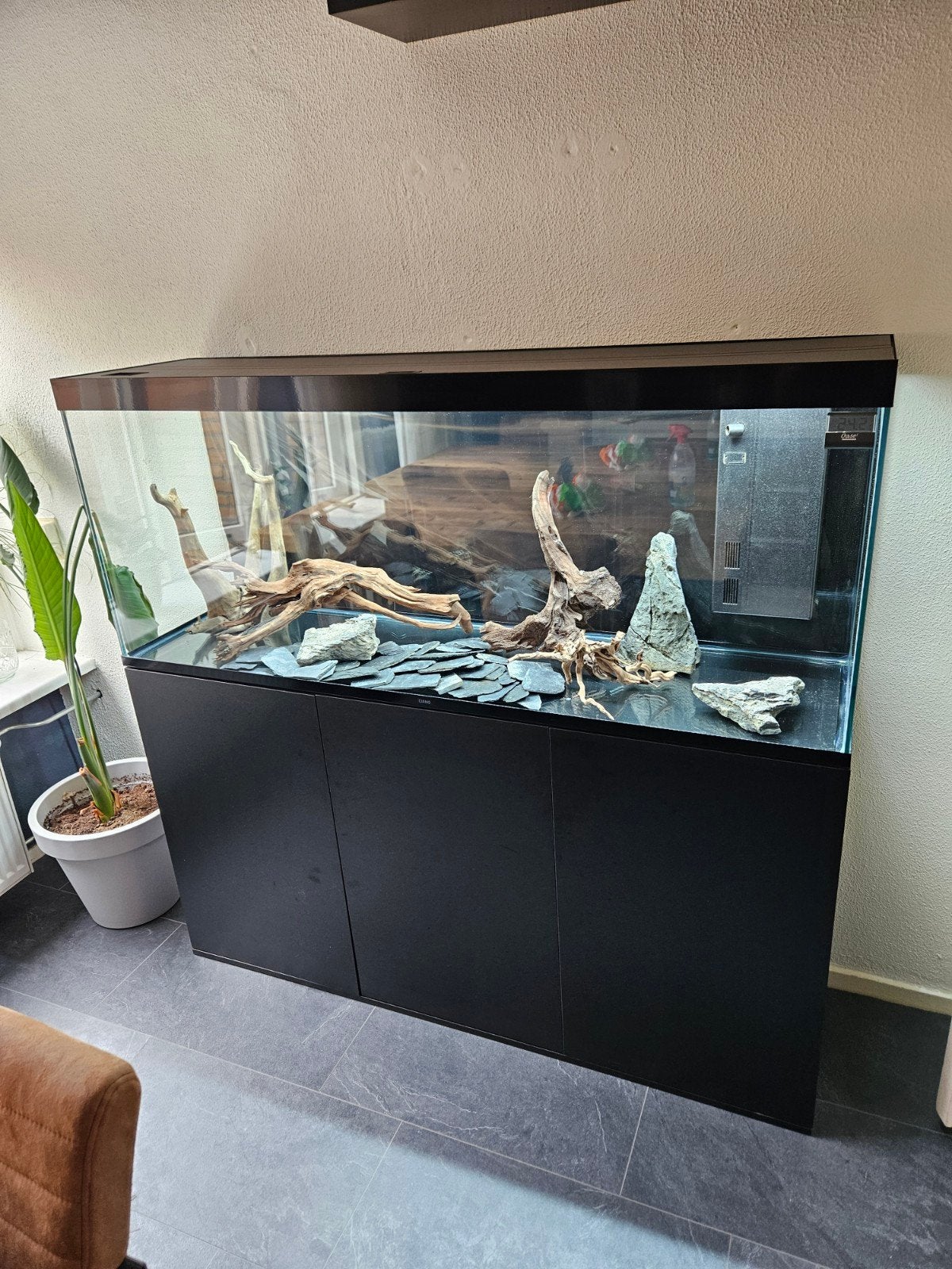 300 l ciano, Ophalen of Verzenden, Nieuw, Leeg aquarium