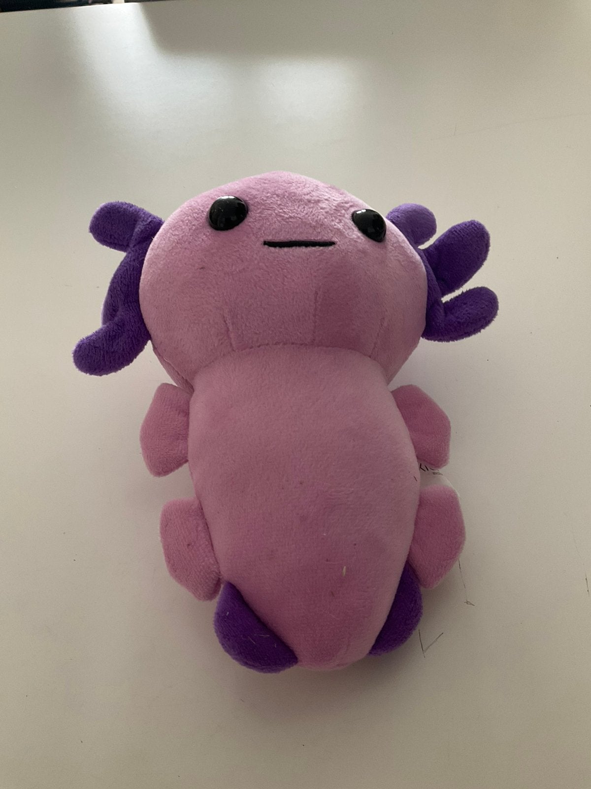 Axolotl, Overige merken, Overige karakters, Overige typen, Nieuw