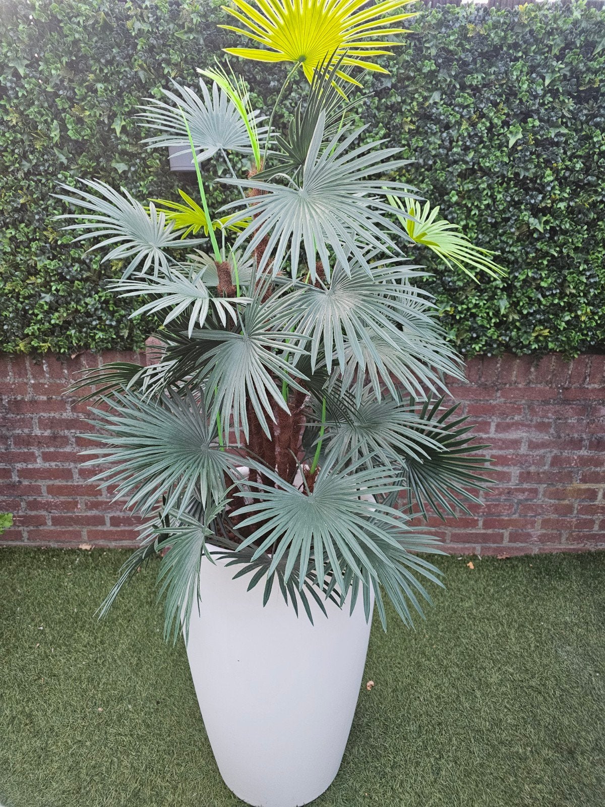 Kunstpalm met pot en 2 Ikea Skarpö stoelen, Ophalen, Kunststof, Twee, Wit