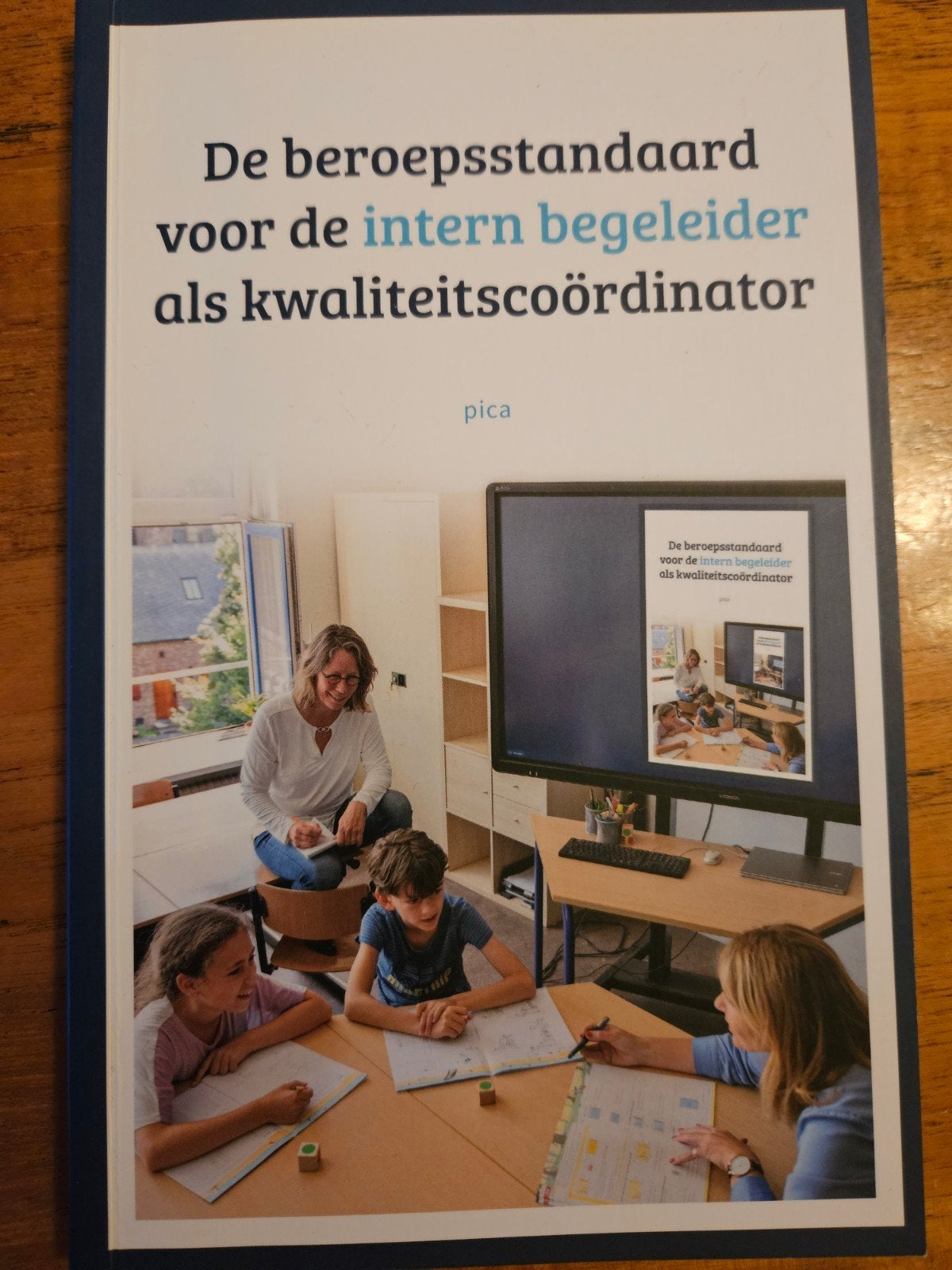 LBBO - De beroepsstandaard voor de intern begeleider, Boeken, Sociale wetenschap, Ophalen of Verzenden, Zo goed als nieuw, LBBO