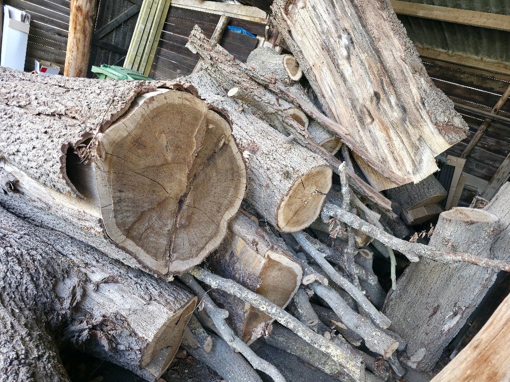 haardhout eik ongekloofd, 6 m³ of meer, Ophalen, Overige houtsoorten, Stammen