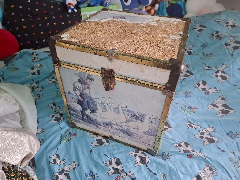 Gratis kist, Huis en Inrichting, Woonaccessoires | Kisten, Minder dan 50 cm, Gebruikt, Minder dan 50 cm, 5 – 50