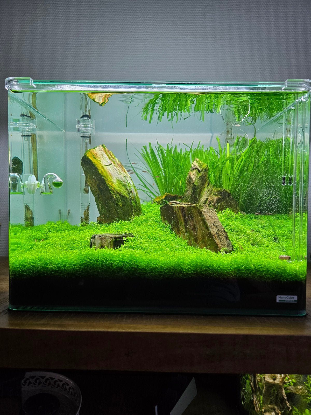 complete aquascape aquarium set, Ophalen, Zo goed als nieuw