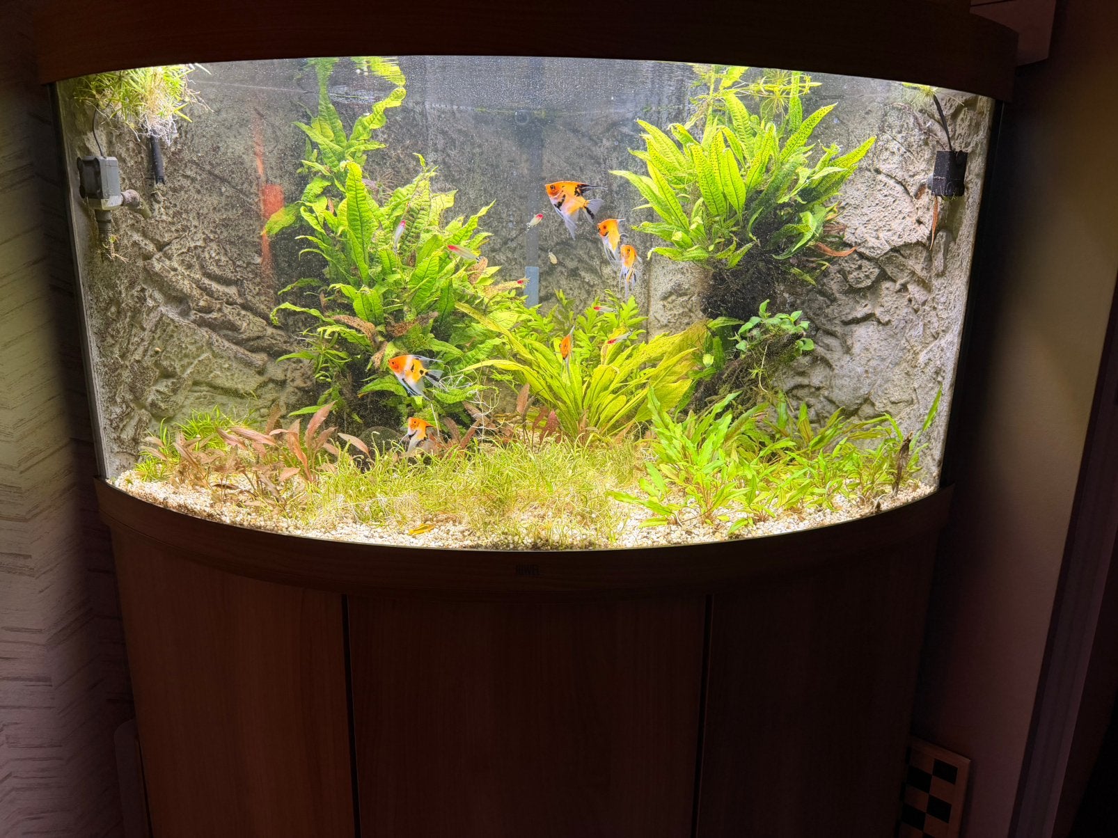 Hoekaquarium 350 liter – compleet met veel extra’s, Dieren en Toebehoren, Ophalen, Zo goed als nieuw, Overige typen, Juwel