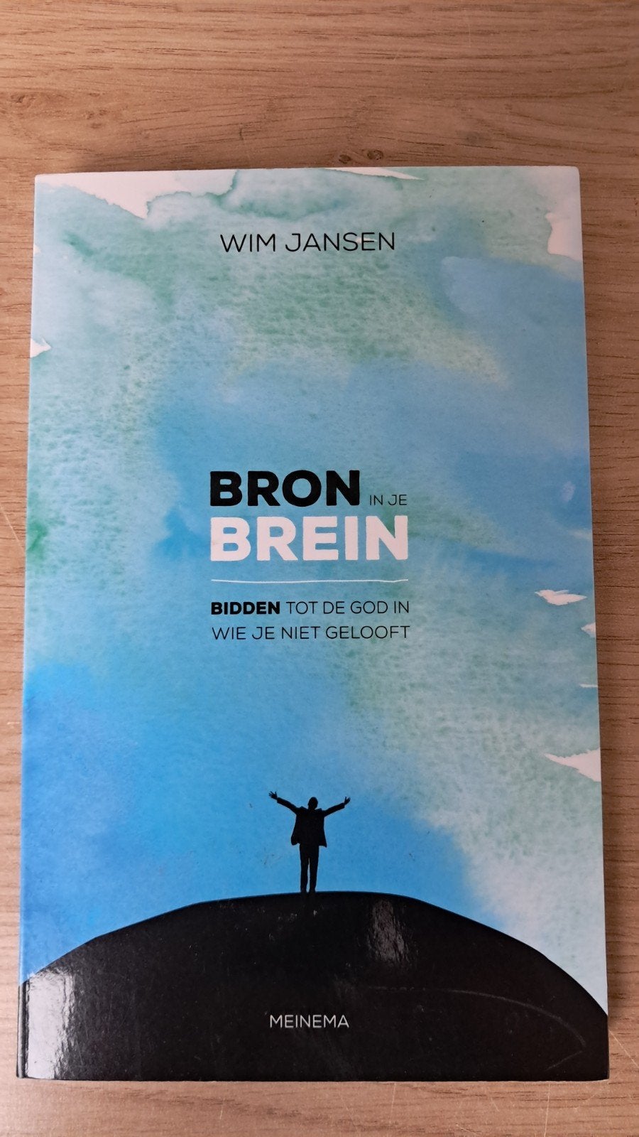 Wim Jansen - Bron in je brein, Ophalen of Verzenden, Zo goed als nieuw, Wim Jansen