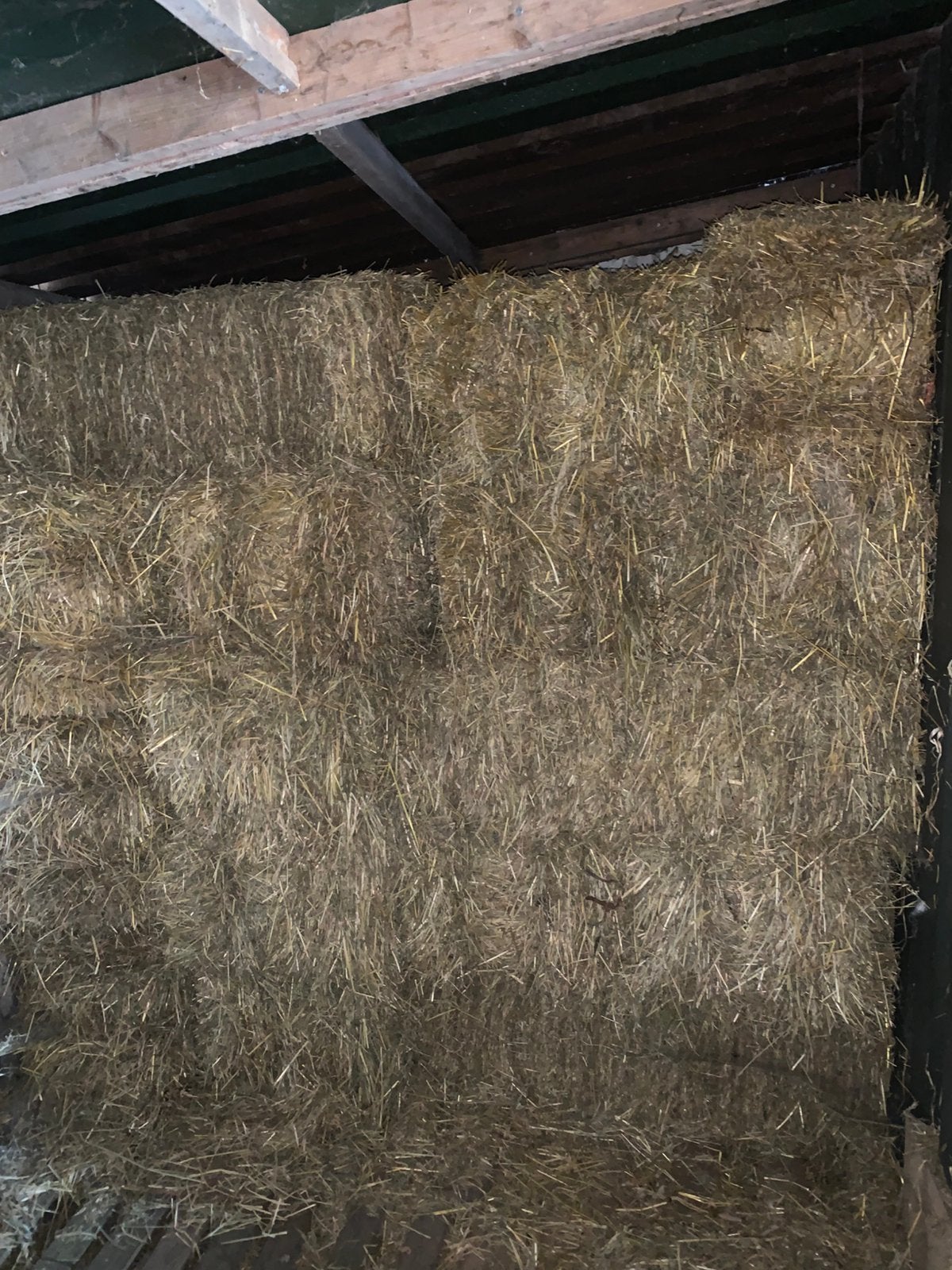 Weide hooi te koop, Dieren en Toebehoren, Dierenvoeding, Ophalen, Vee