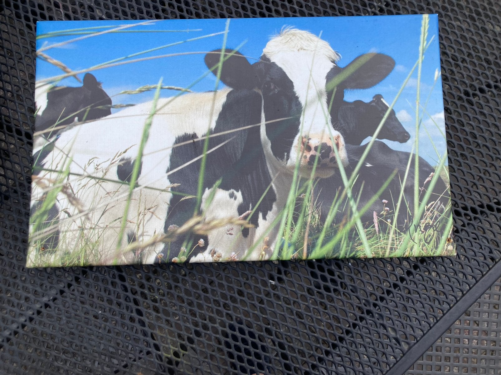Tuin poster tuin doen: outdoor kwaliteit, Ophalen of Verzenden, Zo goed als nieuw