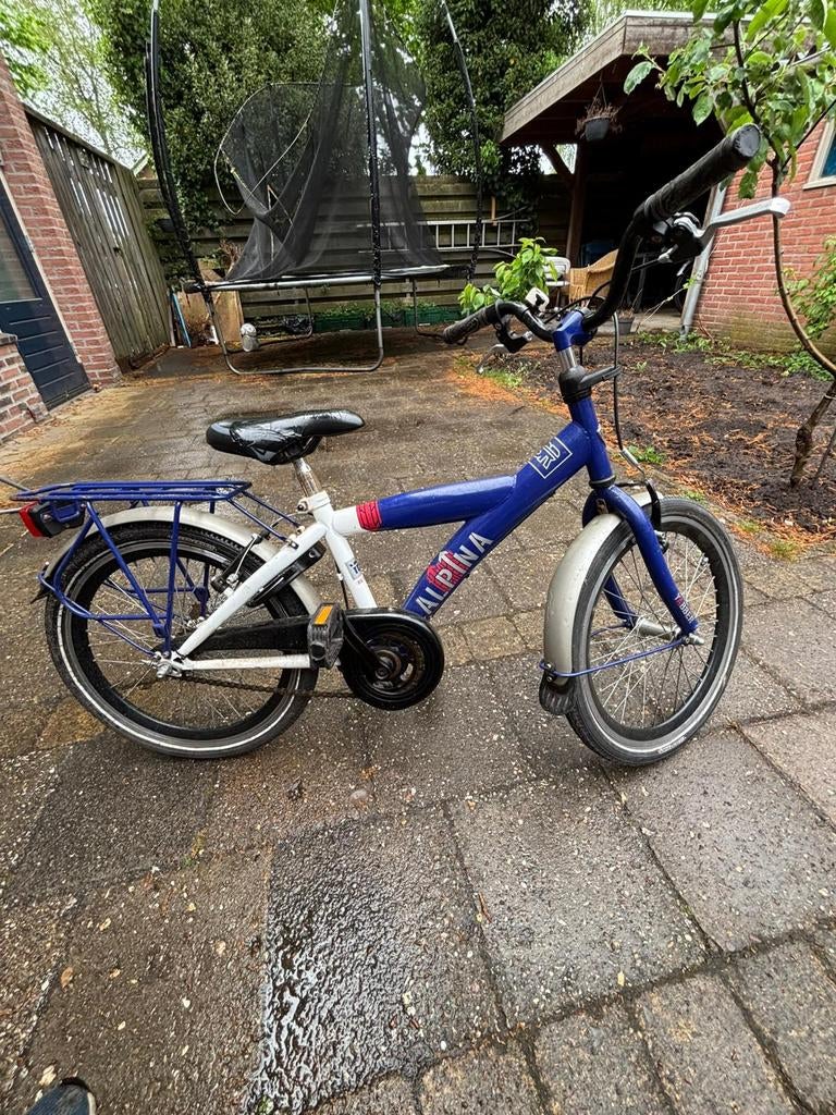 Alpina fiets, Ophalen of Verzenden