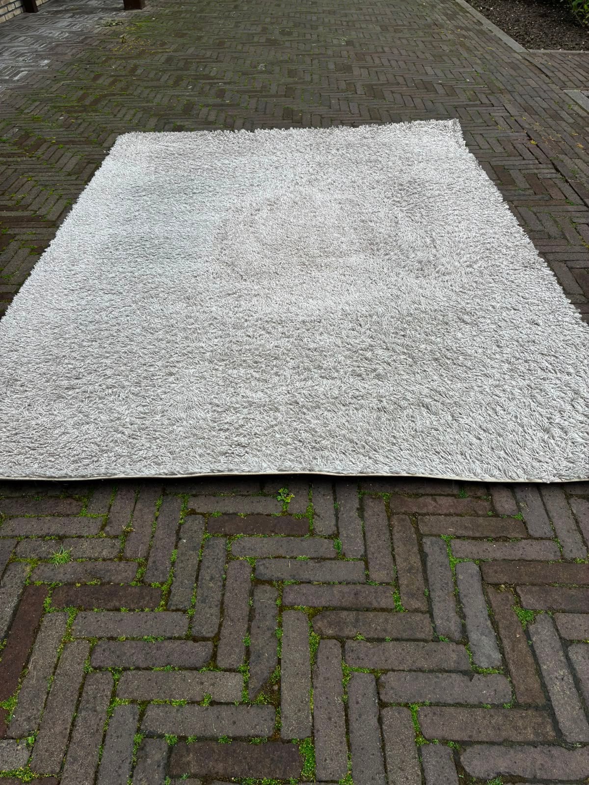 Vloerkleed, Ophalen, 150 tot 200 cm, 200 cm of meer, Zo goed als nieuw