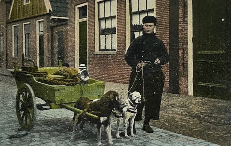 1913 Volendam klederdracht Visboer met hondenkar, Ophalen of Verzenden, Voor 1920, Gelopen, Klederdracht