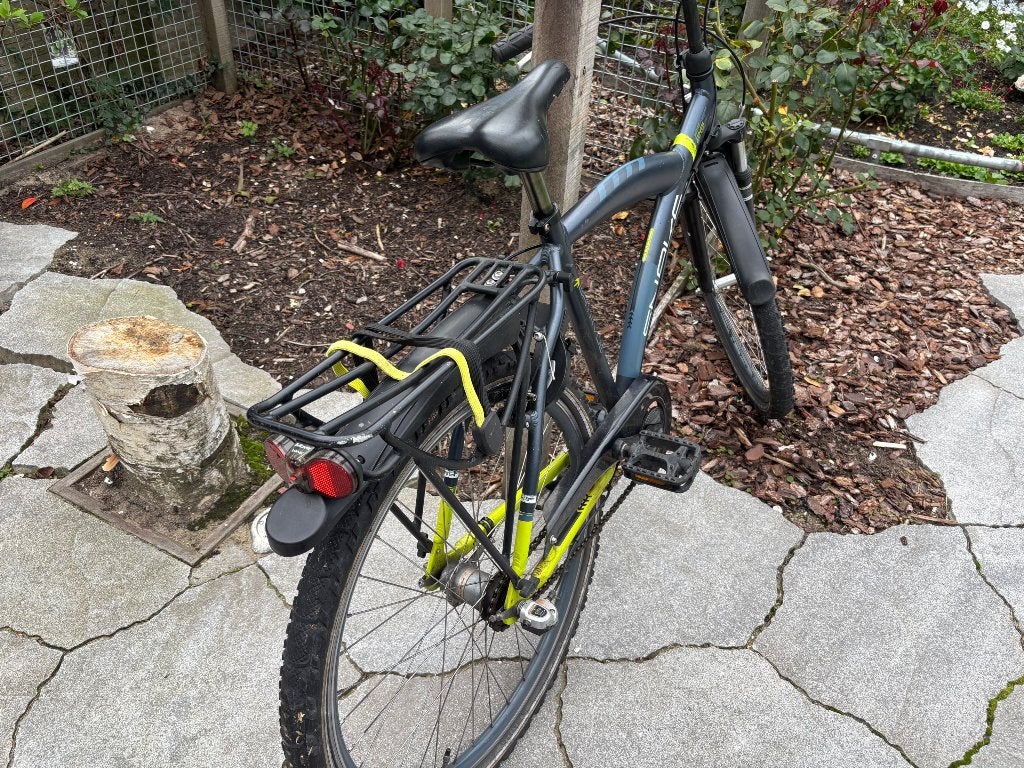 Foto 3 van Batavus Snake 26 inch