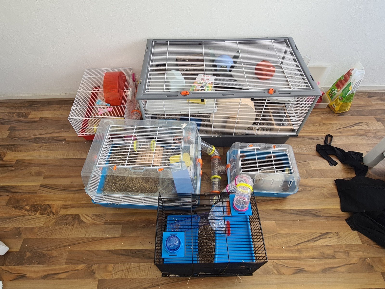 verschillende knaagdierhokken, Ophalen of Verzenden