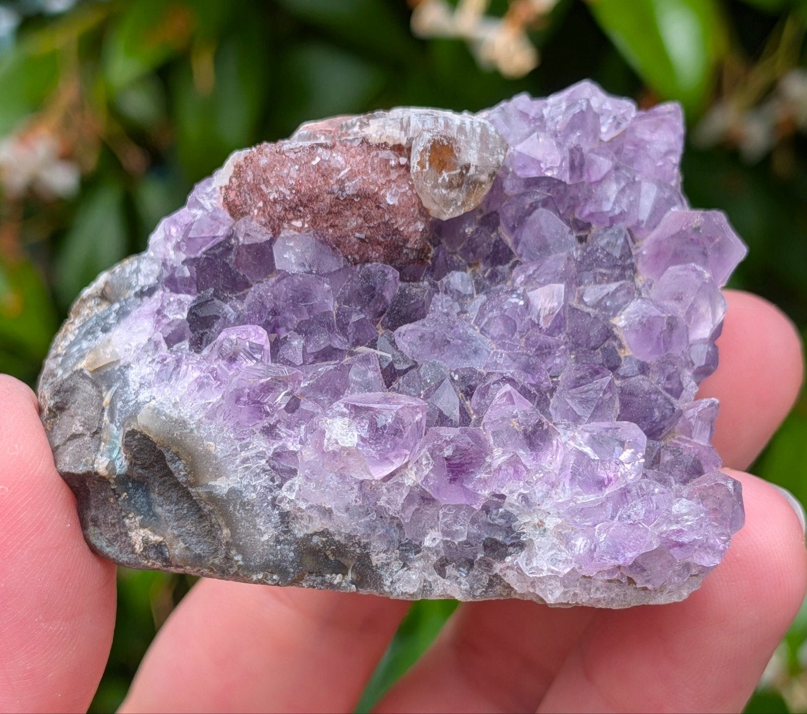 Amethist cluster, Ophalen of Verzenden