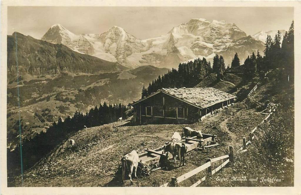 381-240-019 Eiger, Verzenden, Voor 1920, Overig Europa