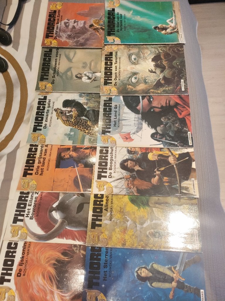 Thorgal, Boeken, Meerdere stripboeken, Ophalen of Verzenden, Zo goed als nieuw