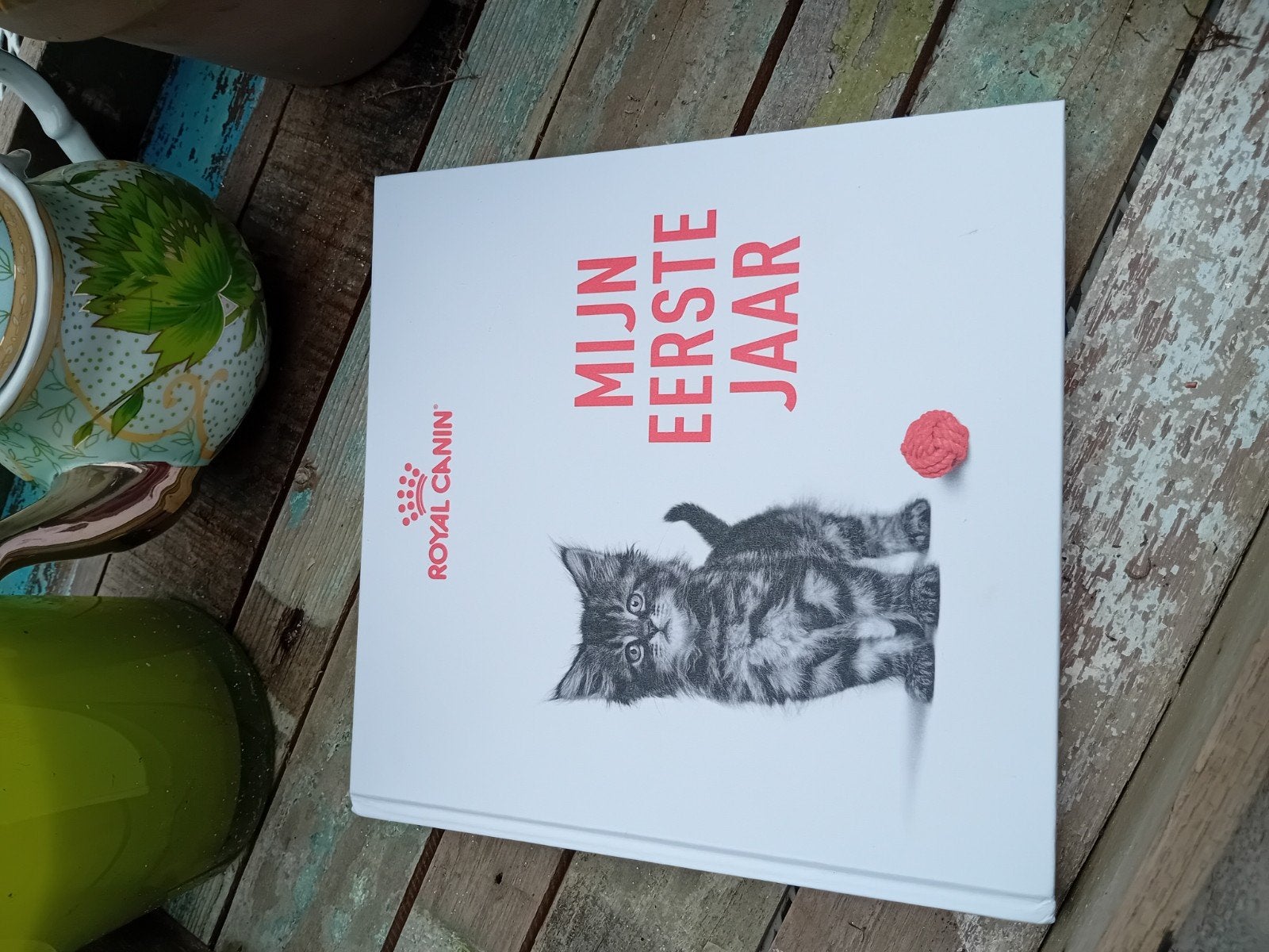 Mijn Eerste Jaar - Royal Canin Kattenboek, Ophalen of Verzenden, Zo goed als nieuw, Katten, Royal Canin