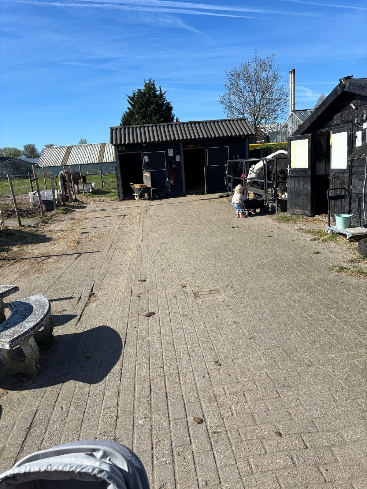 ️ Gezellige en betrouwbare stalhulp gezocht in rijsenhout, Diensten en Vakmensen, Verzorging of Verzorgpony's