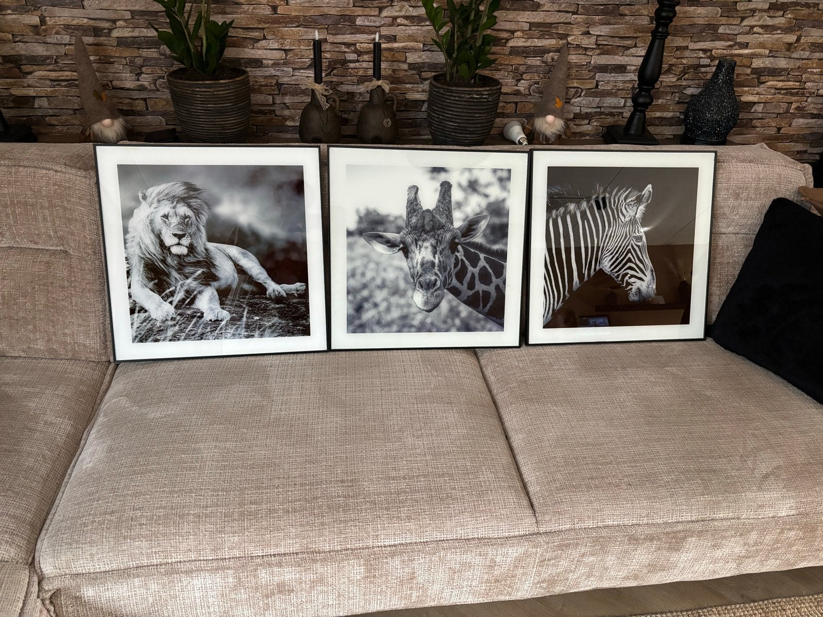 3 schilderijen met dierenprint - leeuw, giraffe, zebra, Ophalen, Realistisch, Dieren, Print