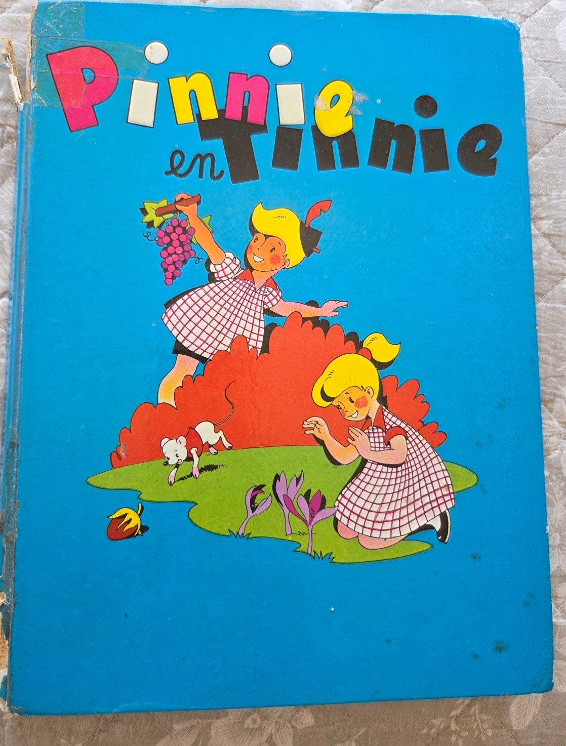 Pinnie en Tinnie vintage stripboek 1965-verzamelalbum 6, Boeken, Eén stripboek, Ophalen of Verzenden, Gelezen