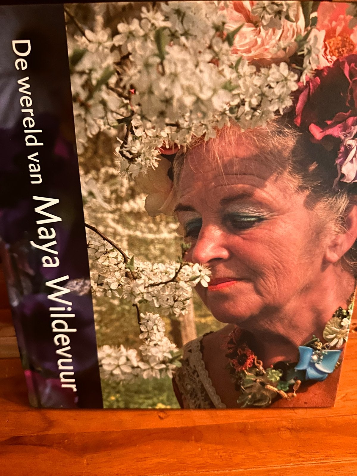 Maya Wildevuur - Groningse Molen (2010) incl. boek, Ophalen, Gedateerd, Expressionistisch, Landschap