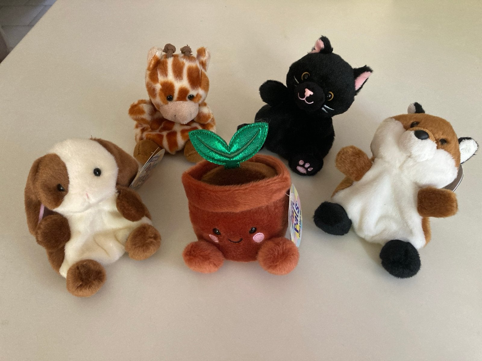 Leuke Palm Pals knuffels - diverse dieren en plantje, Kinderen en Baby's, Overige merken, Overige karakters, Overige typen, Ophalen of Verzenden