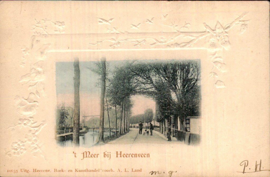Heerenveen - t Meer - Zicht, Ophalen of Verzenden, Voor 1920, Gelopen, Friesland