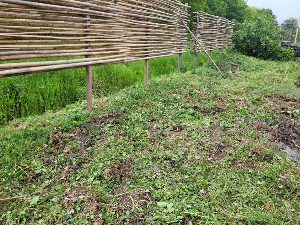 Bamboe stokken en schutting hardhoutpaal nieuw, Ophalen, Hout, Minder dan 3 meter, 1 tot 2 meter