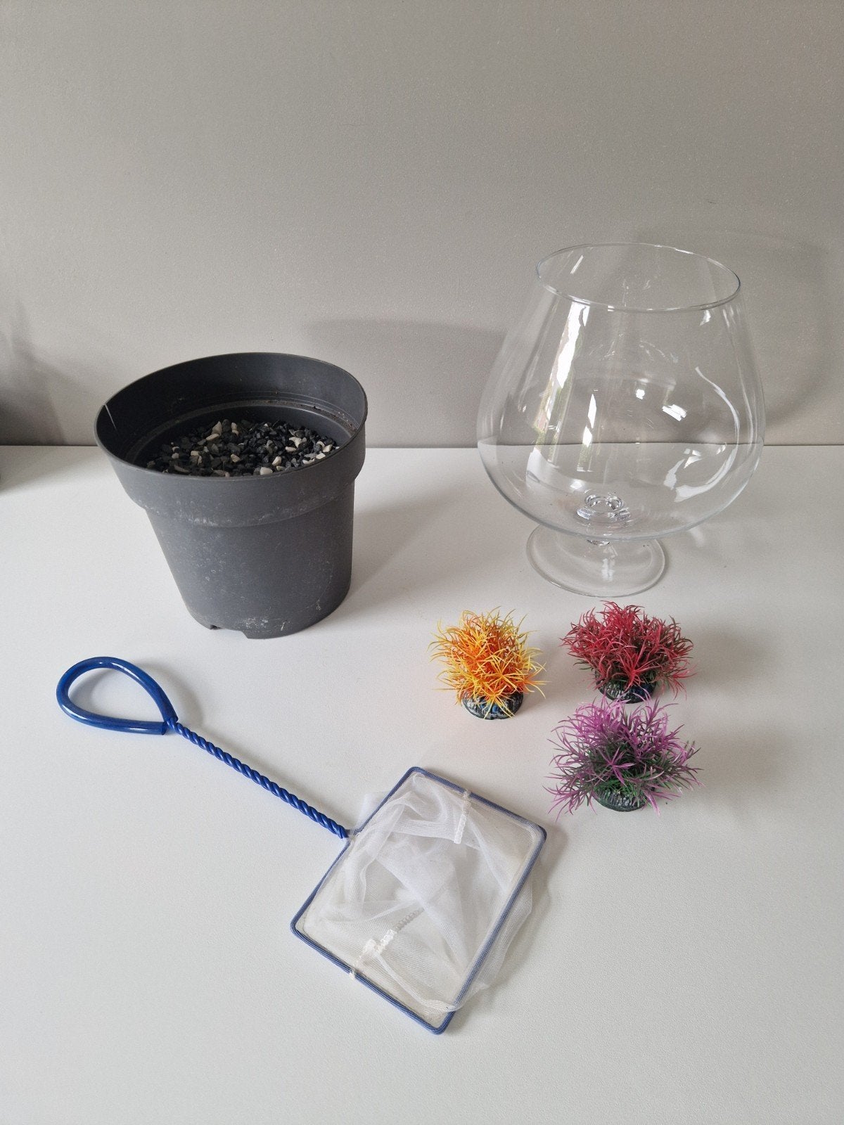 Vissenkom en accessoires, Ophalen of Verzenden, Zo goed als nieuw, Vissenkom