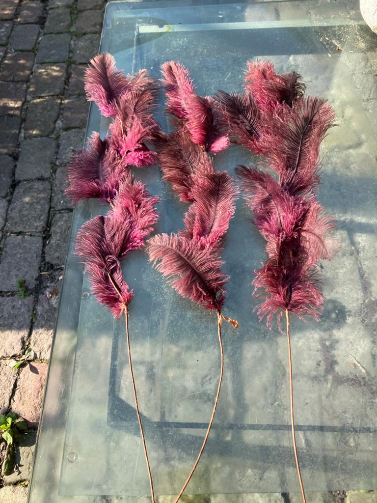 Decoratieve struisvogelveren - Bordeauxrood en zwart., Ophalen of Verzenden, Nieuw, Rood, Natuurlijk materiaal