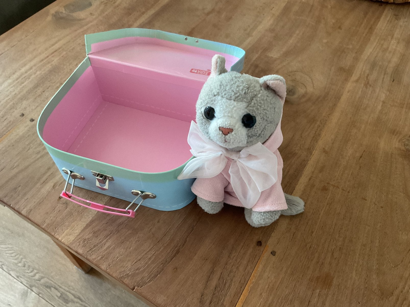Koffertje met poesje erin Studio Pets, Ophalen of Verzenden, Overige typen