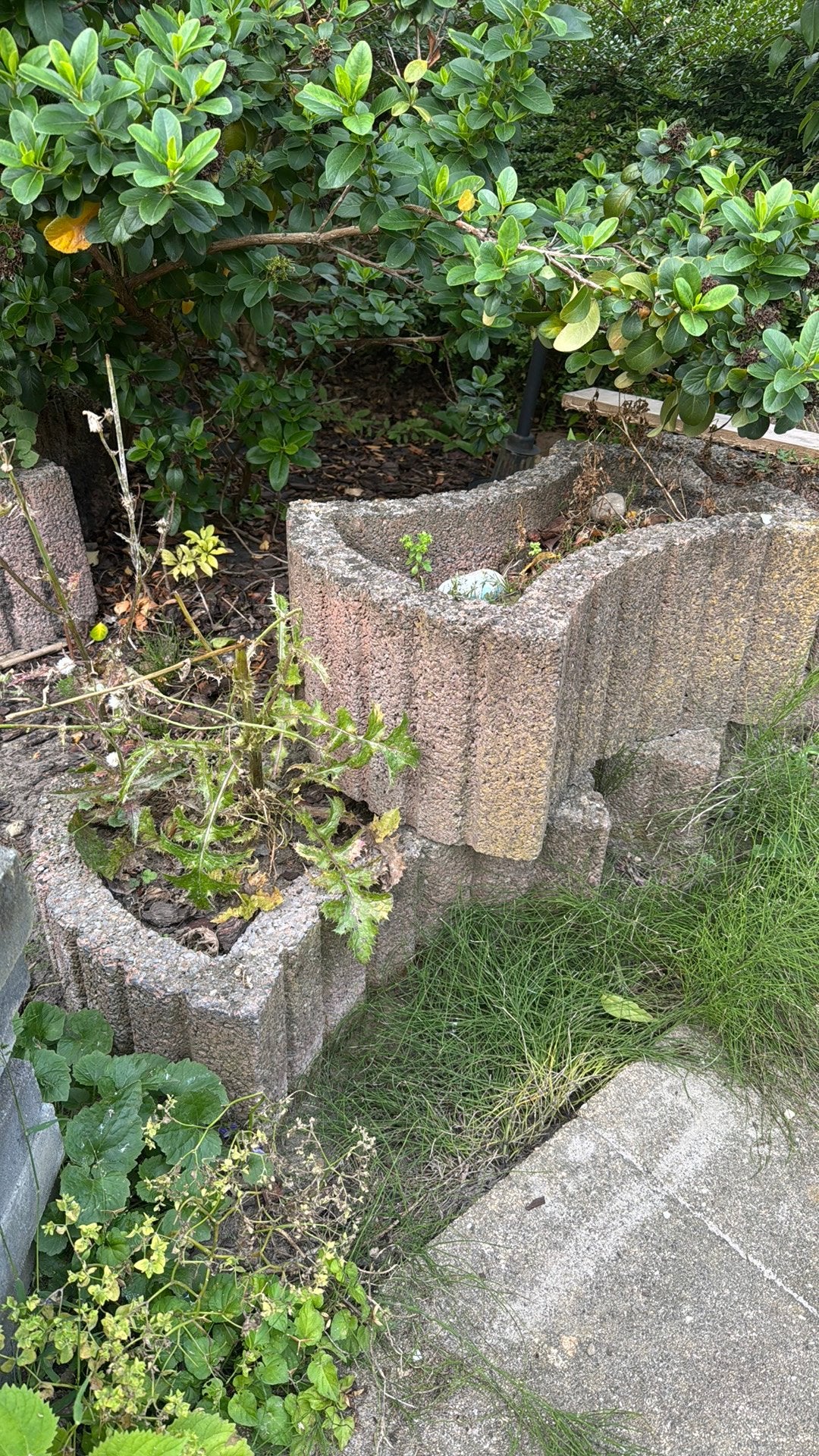 Stapelstenen/stapelblokken GRATIS ca 12 stuks, Tuin en Terras, Bielzen en Borders, Ophalen, Gebruikt, Overige typen, Minder dan 100 cm