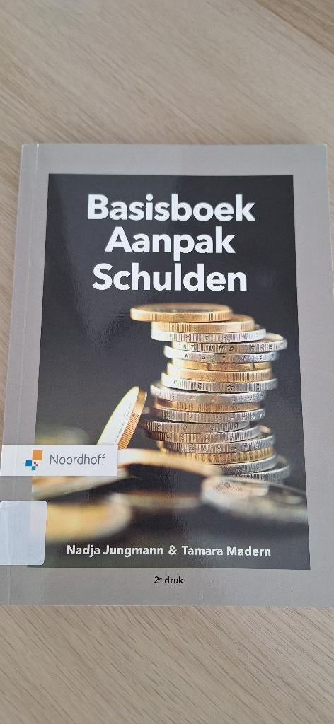 Basisboek aanpak schulden, Boeken, Studieboeken en Cursussen, Zo goed als nieuw, Noordhoff Uitgevers, Gamma, HBO