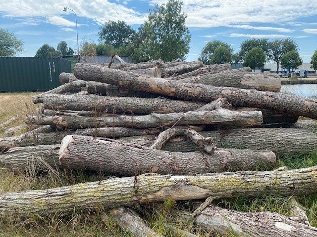 100 m3 openhaardhout, Tuin en Terras, Haardhout, Minder dan 3 m³, Ophalen of Verzenden