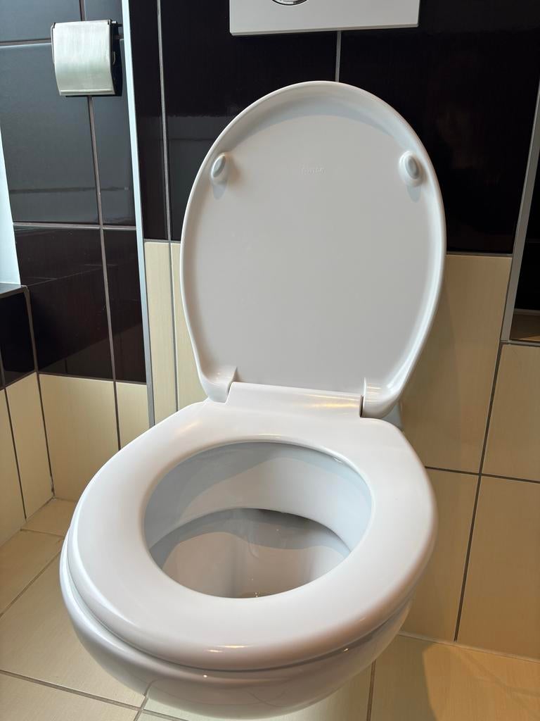 Villeroy & Boch Toilet - incl. Geberit bediedingspaneel, Ophalen, Zo goed als nieuw, Toilet