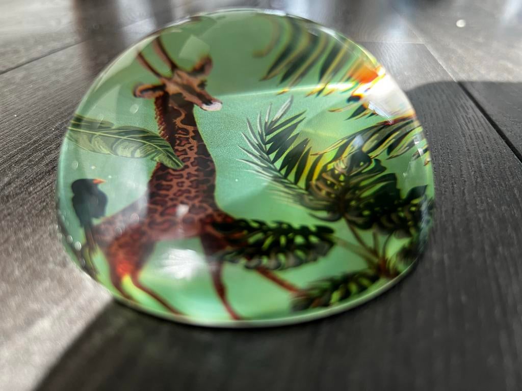 Glazen presse-papier met giraffe en jungleprint, Ophalen of Verzenden, Zo goed als nieuw