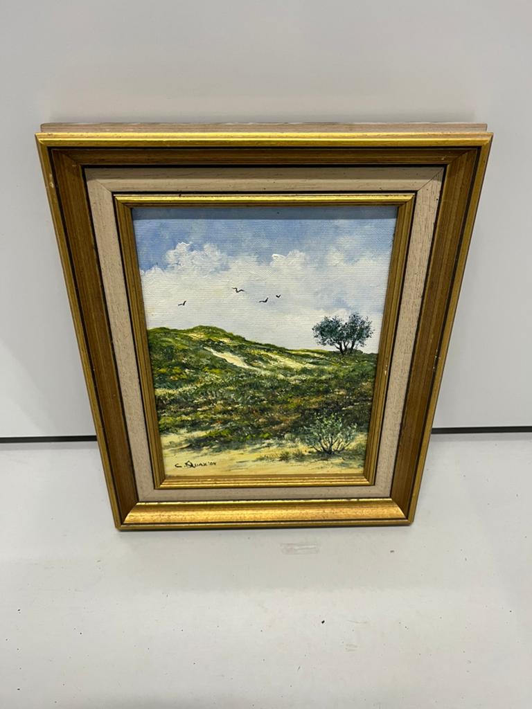 Olieverfschilderij duinlandschap door Cor Quax 2004, Ophalen