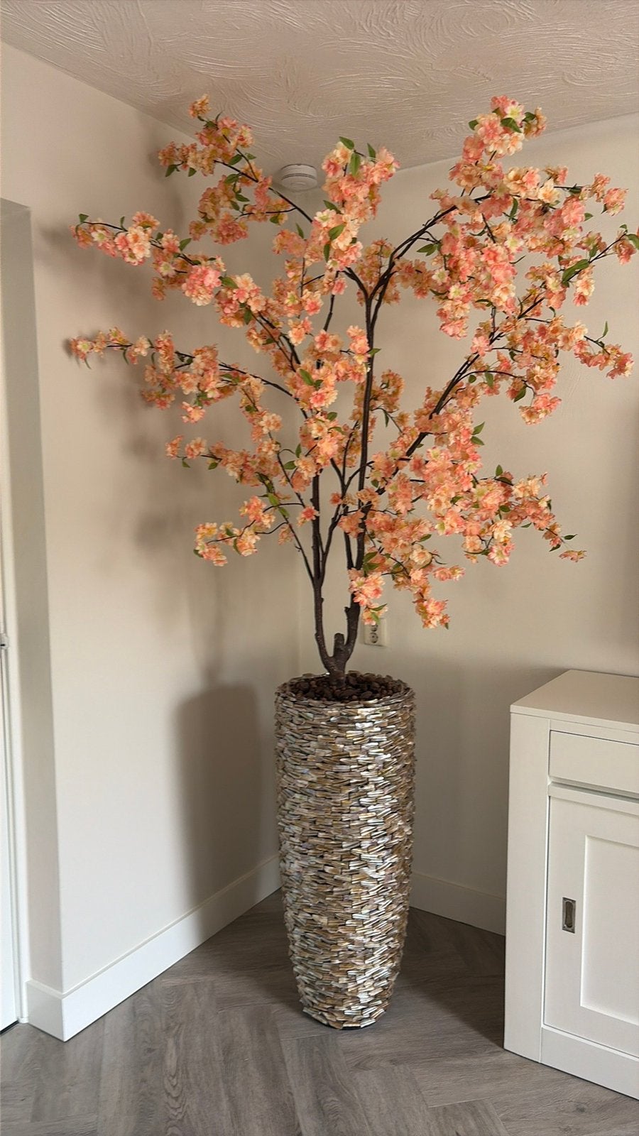 Bloesemboom 250 hoog (bloesem 160 hoog pot 90), Ophalen, Zo goed als nieuw
