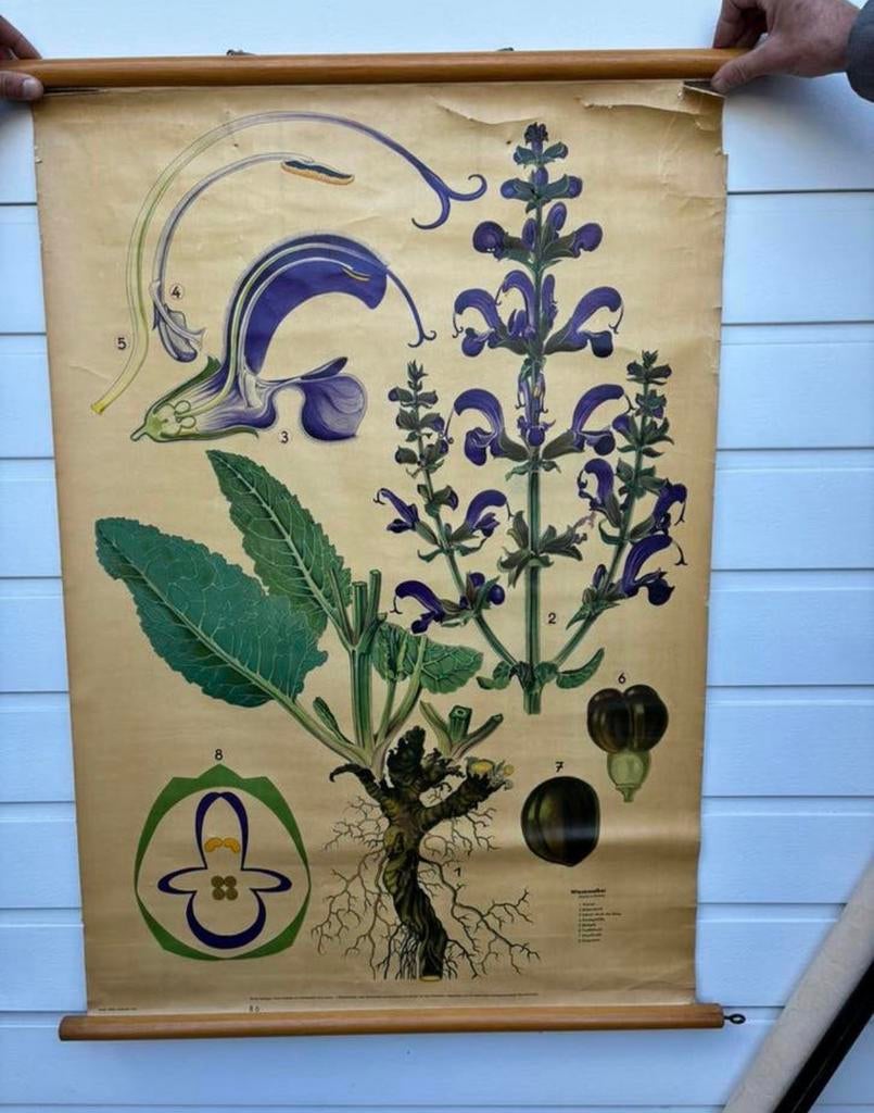 Oude schoolposters, Ophalen, Aardrijkskunde