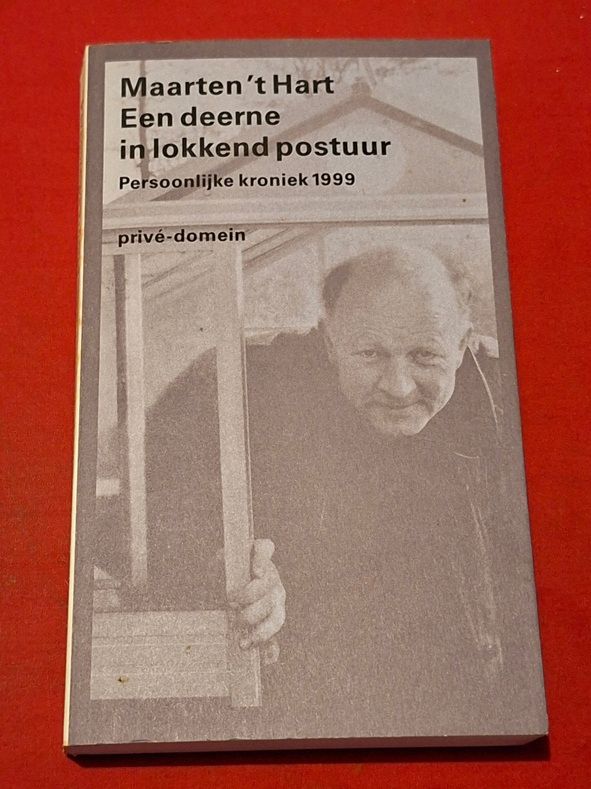 GESIGNEERD Een deerne in lokkend postuur. Maarten 't Hart., Ophalen of Verzenden, Gelezen