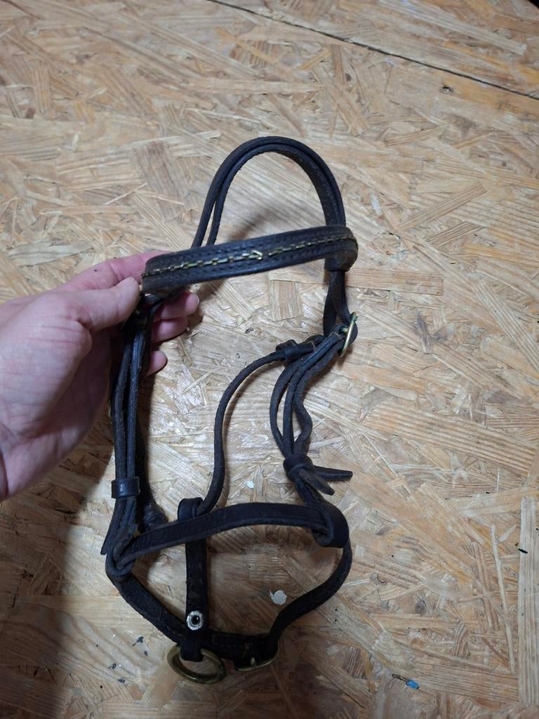 Keurings halster veulen pony 3, Ophalen of Verzenden, Overige soorten